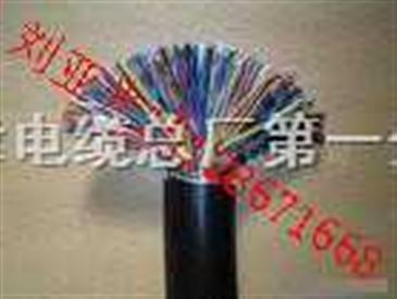 市內(nèi)通訊電纜 連接智慧城市的無形脈絡(luò)